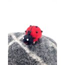 Anstecker Marienkäfer