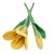 Filzblumen Tulpen zitronengelb 2er-Set