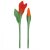 Felted Flowers Tulip 2pcs Set red / orange (09/10)