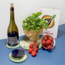 Tassenuntersetzer 4er Set grüner Farbverlauf 9 cm