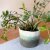 Green Gradient Series - Tall Felted Container
