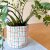 Colorful Checkered Basket - Tall Felted Container