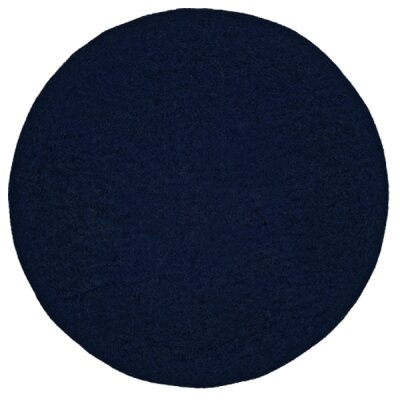 blueberry (66)